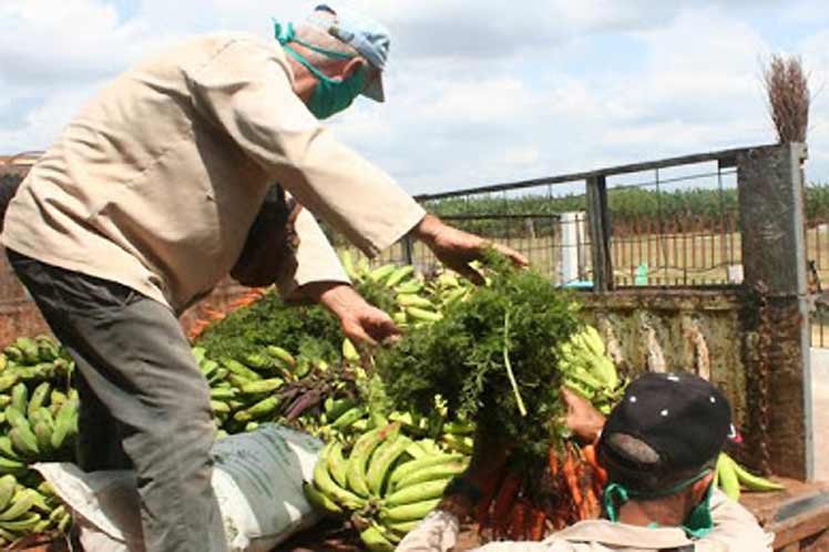 Alimentos Cuba