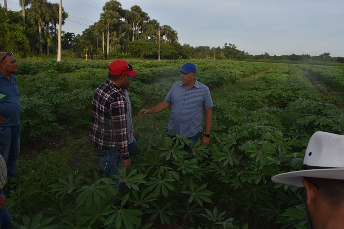 En polo Melanio Ortiz 1