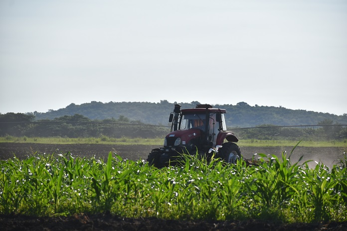 Foto de Yaidel Miguel Rodríguez Castro 3