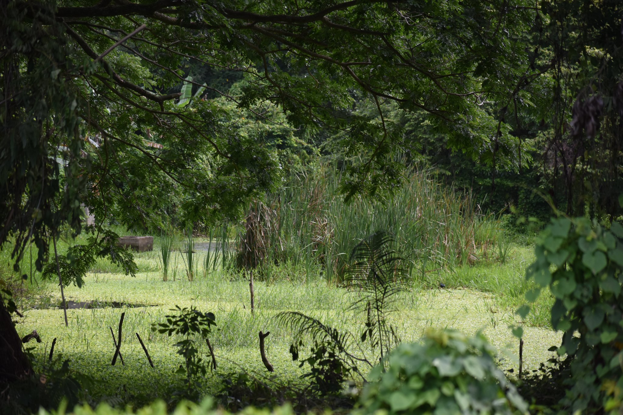 Fotos de Yaidel Rodríguez Castro 1