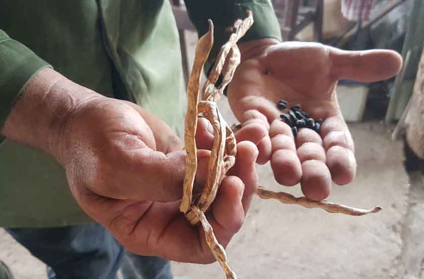 Finca integral de cultivos varios La Fe.