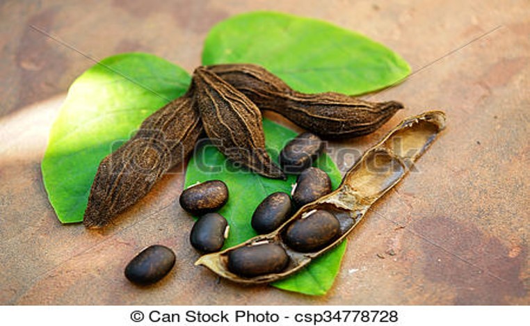 Mucuna negra