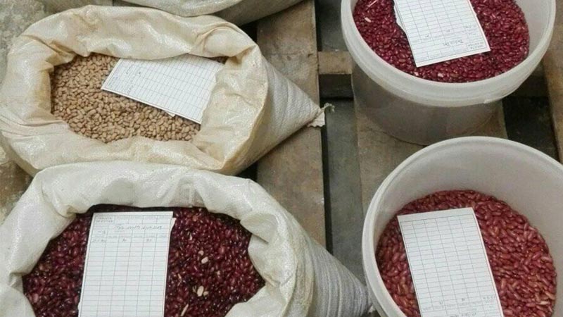 Seed conservation bank