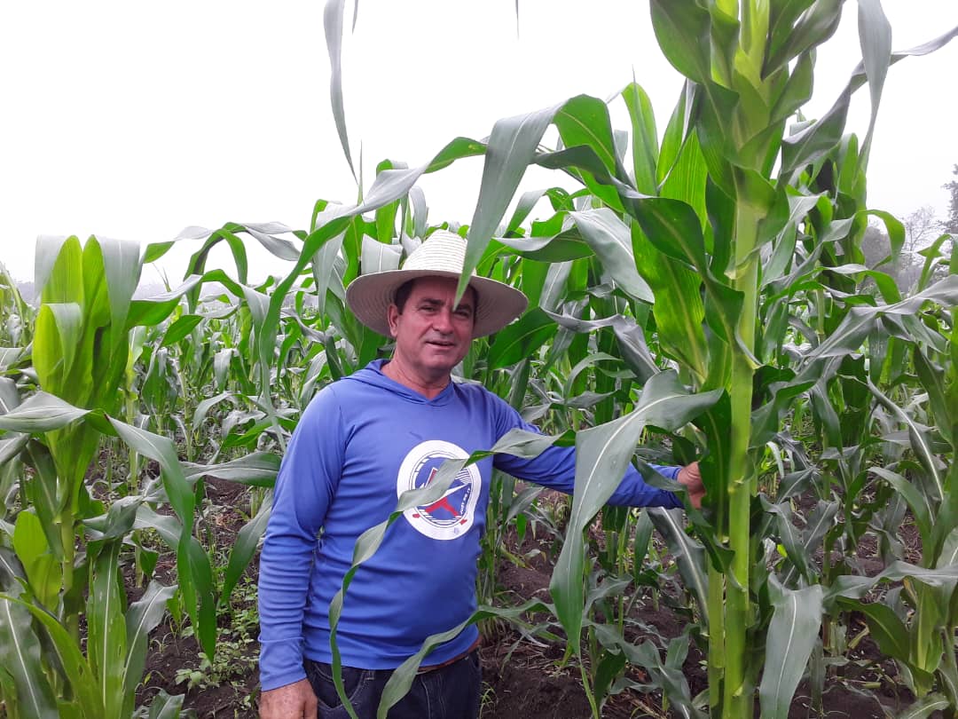 campesino Rosbely 2