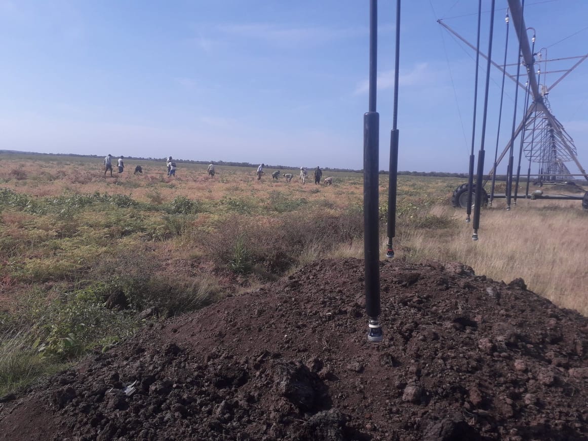 Farmers search new areas for the various crops