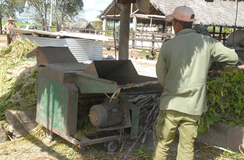 Calixto Sarduy agricultural production cooperative