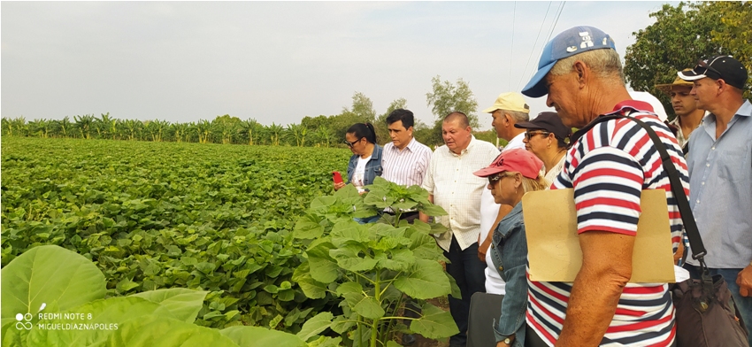 encuentro de productores en majibacoa