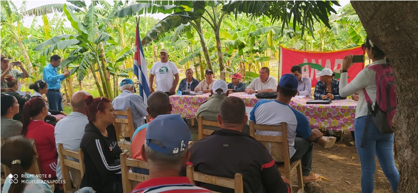 encuentro de productores en majibacoa foto migueldn 3