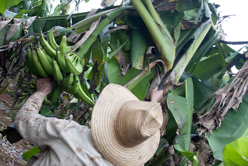 foto campesinos de Reynaldo López