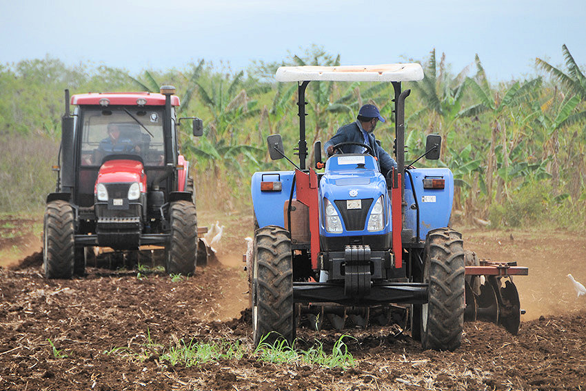 Cold planting season is underway in Las Tunas