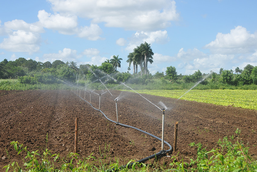 inversiones agricolas27