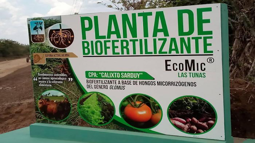 las tunas planta biofertilizantes