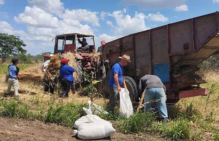 La innovación, reconocida con el Premio Nacional de Innovación en 2025, permite al país ahorrar divisas.