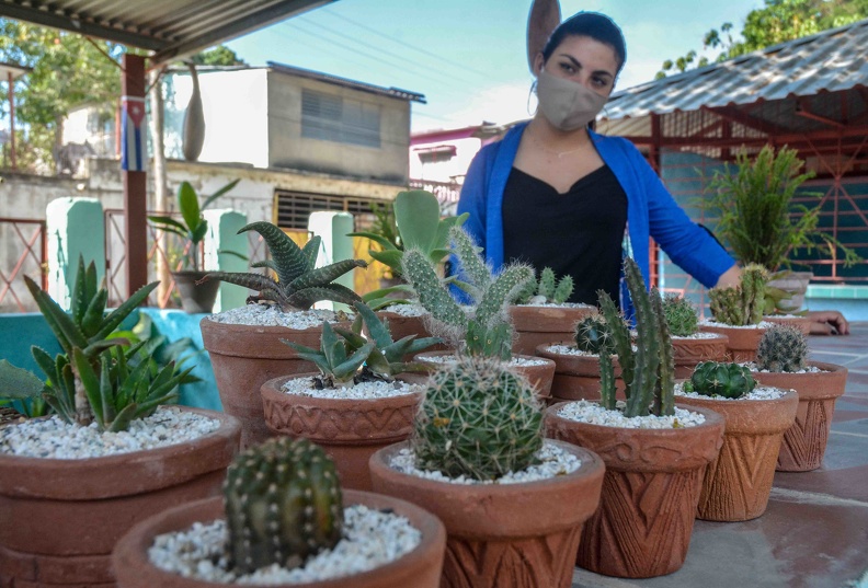 Los Almendros agricultural market