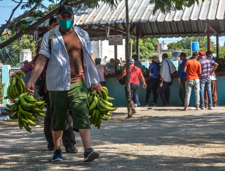 Los Almendros agricultural market