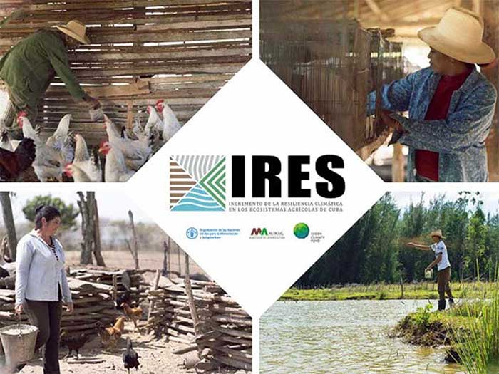 Proyecto Resiliencia Climática en Ecosistemas Agrícolas de Cuba (IRES).