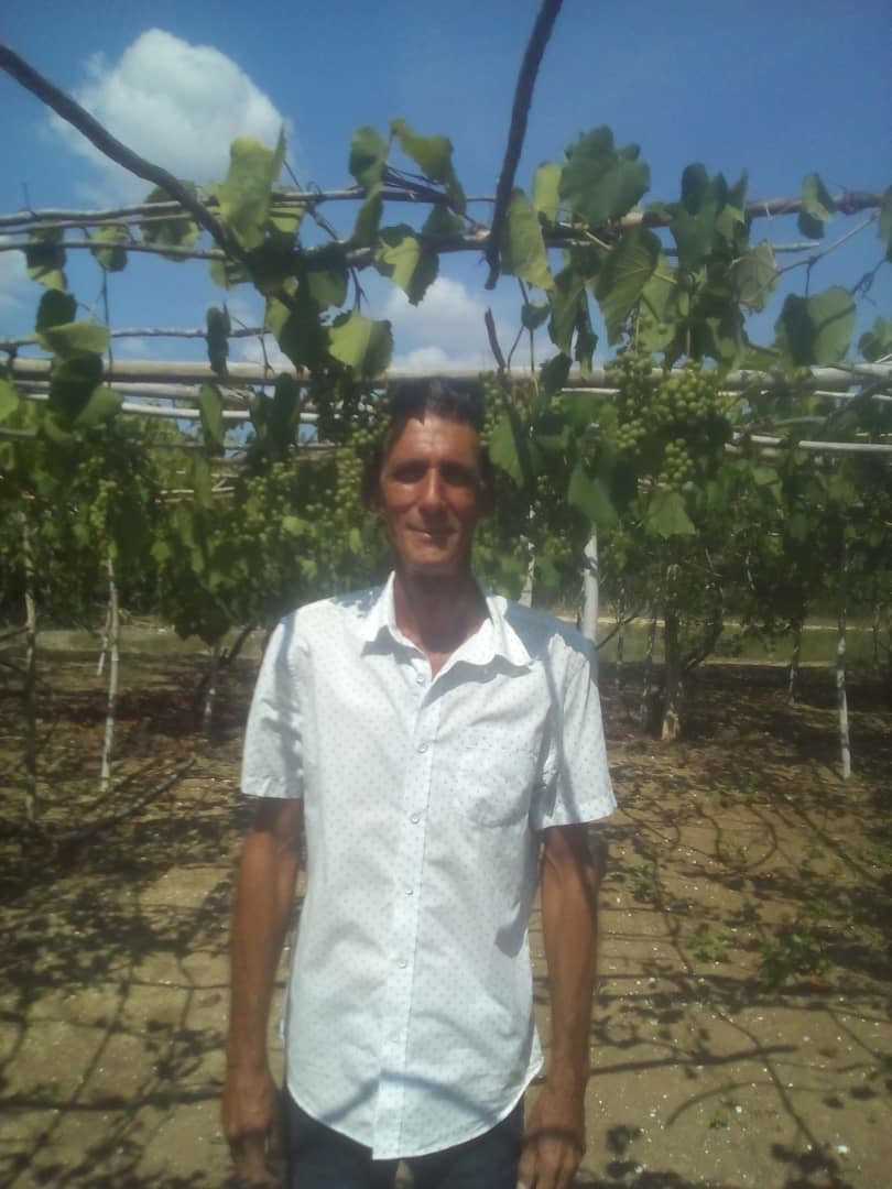 Grapes grower Jorge Félix Velázquez