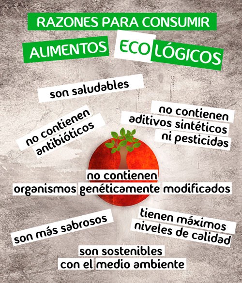 razones para consumir alimentos ecologicos