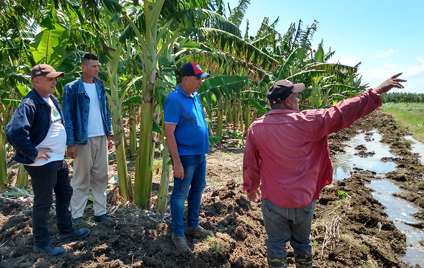 recorrido produccion alimentos yenima 2