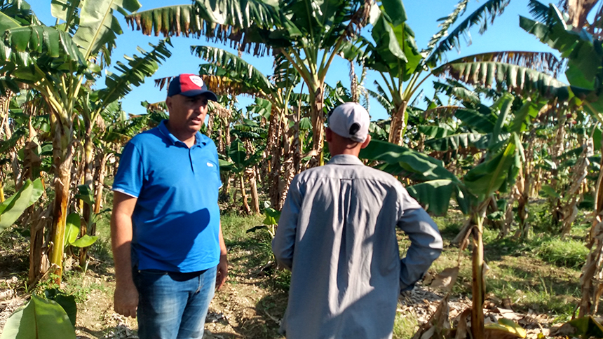 recorrido produccion alimentos yenima 3