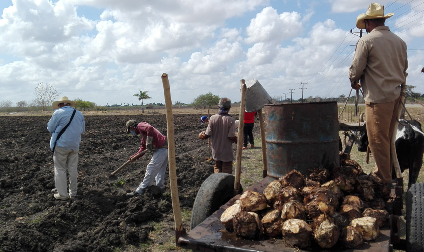 sequia agricultura