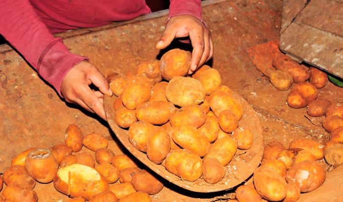 La venta de papas continúa en cuatro municipios tuneros