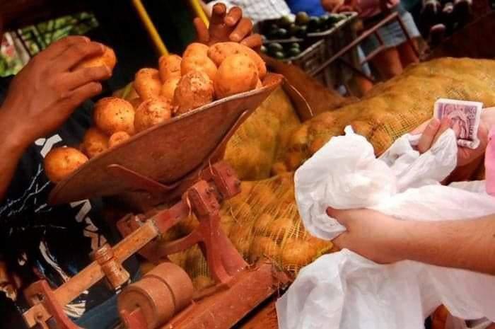 The regulated sale of potatoes is underway in Las Tunas