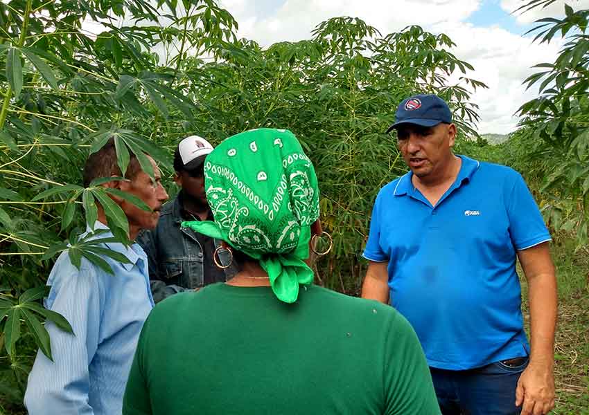 Polo productivo San Alberto, en la comunidad rural homónima, en "Amancio".