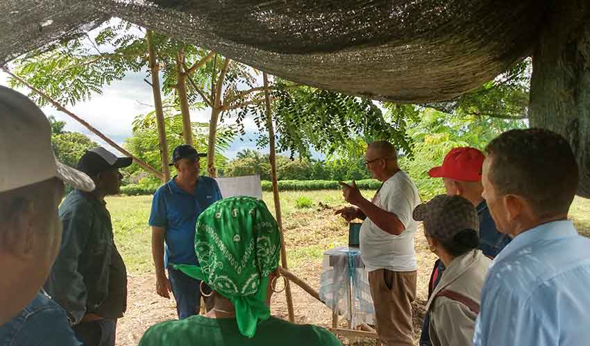 Polo productivo San Alberto, en la comunidad rural homónima, en "Amancio".