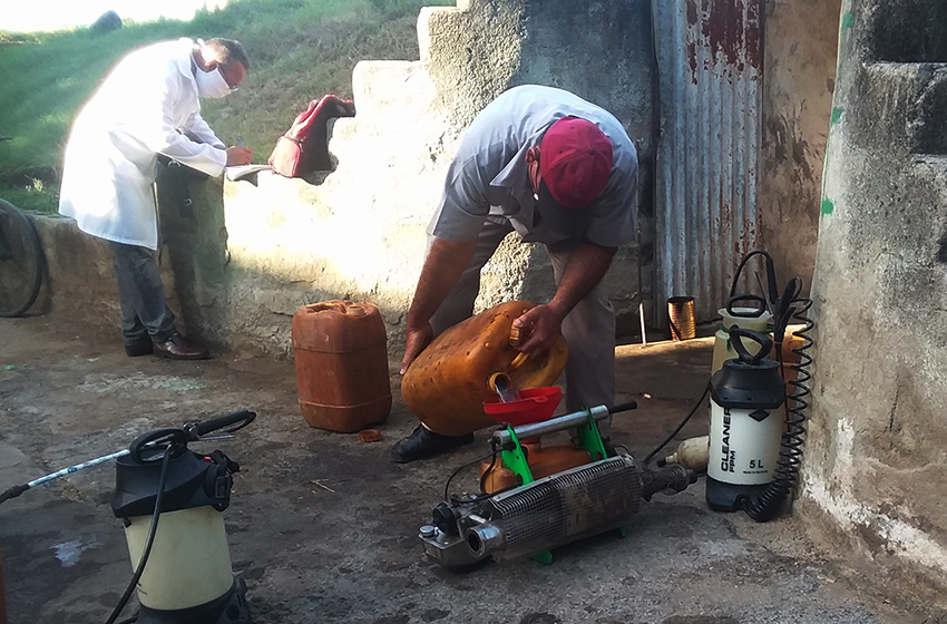 Fumigation campaign against the Aedes aegypti