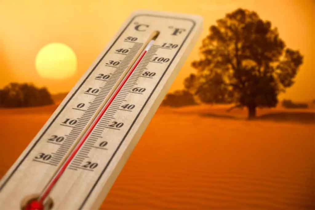 The humanity has lived 12 consecutive months of unprecedented heat.