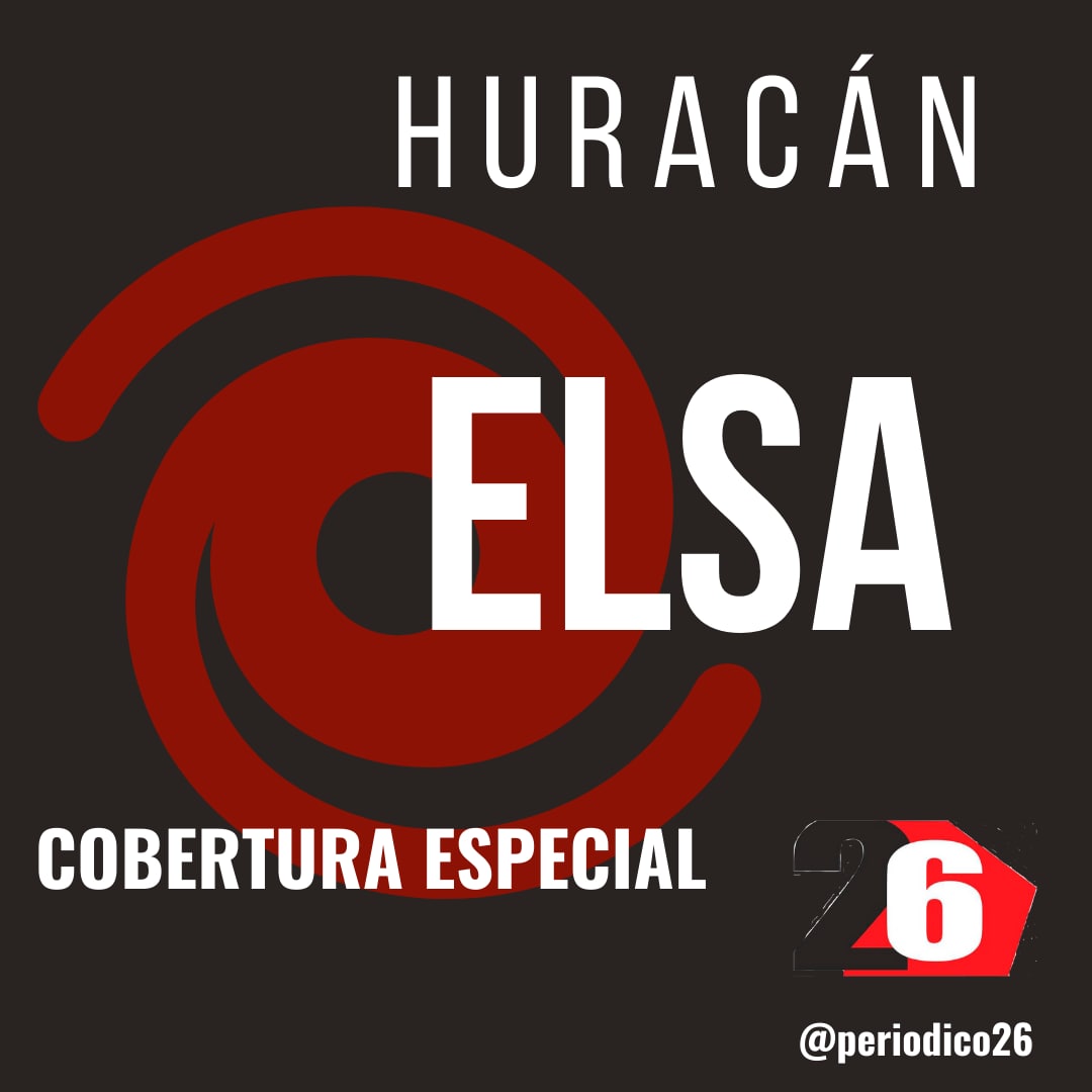 cobertura elsa