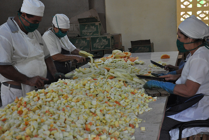 The implementation of local solutions make possible to develop agricultural productions, Urban and Suburban Agriculture, mini-industries