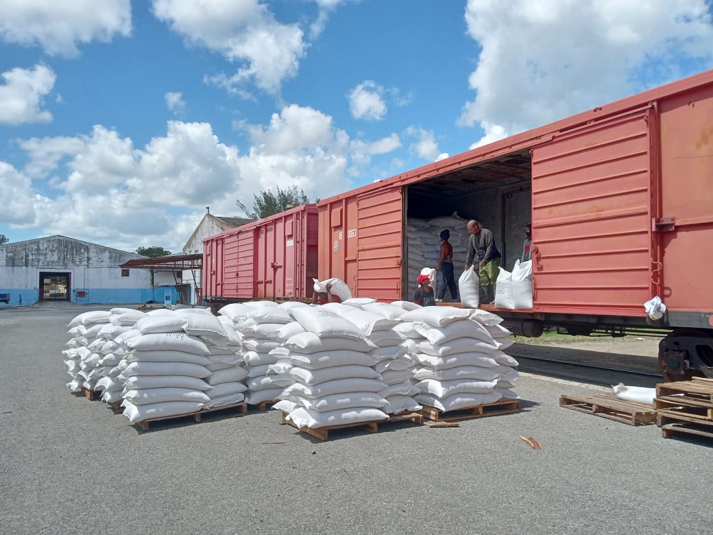 descarga arroz canasta básica