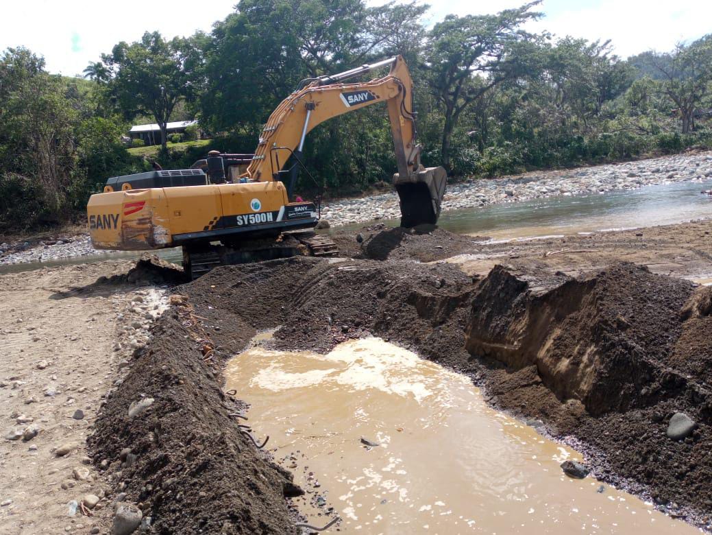 conalza melissa las tunas 2