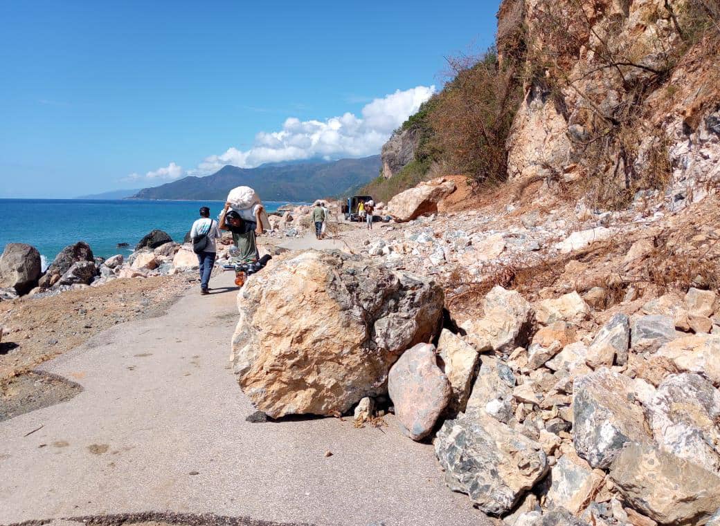 conalza melissa las tunas 3