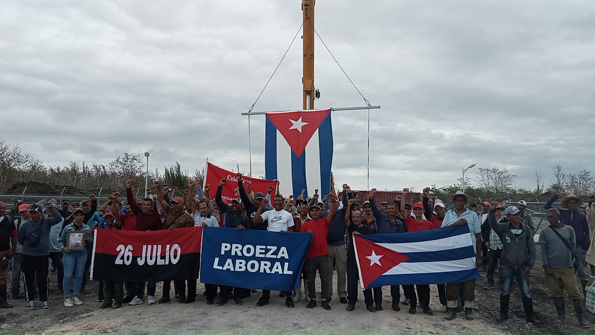 conalza Vanguardia nacional 3