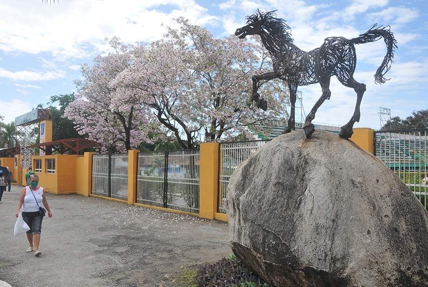 Little Fairy Horse sculpture.