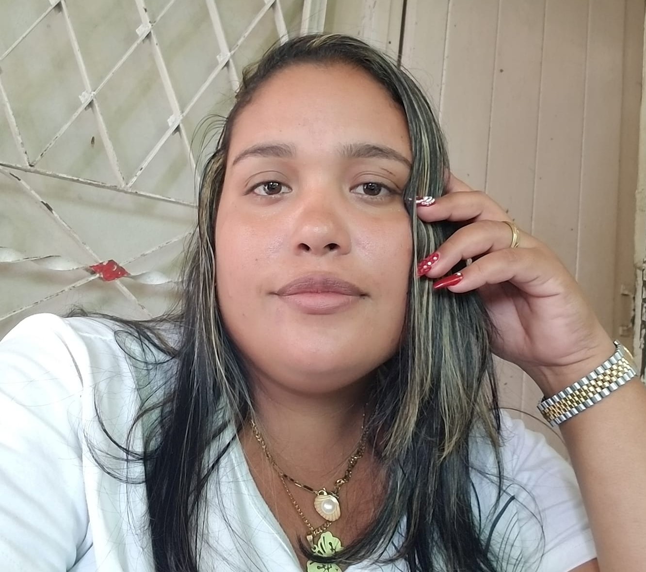 Dayana traductora 26