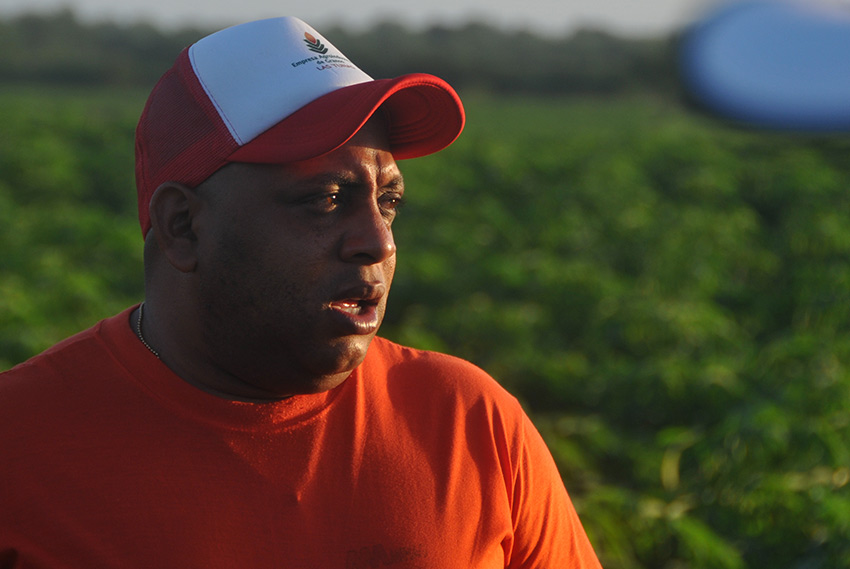delegado de la Agricultura Yoel Martínez