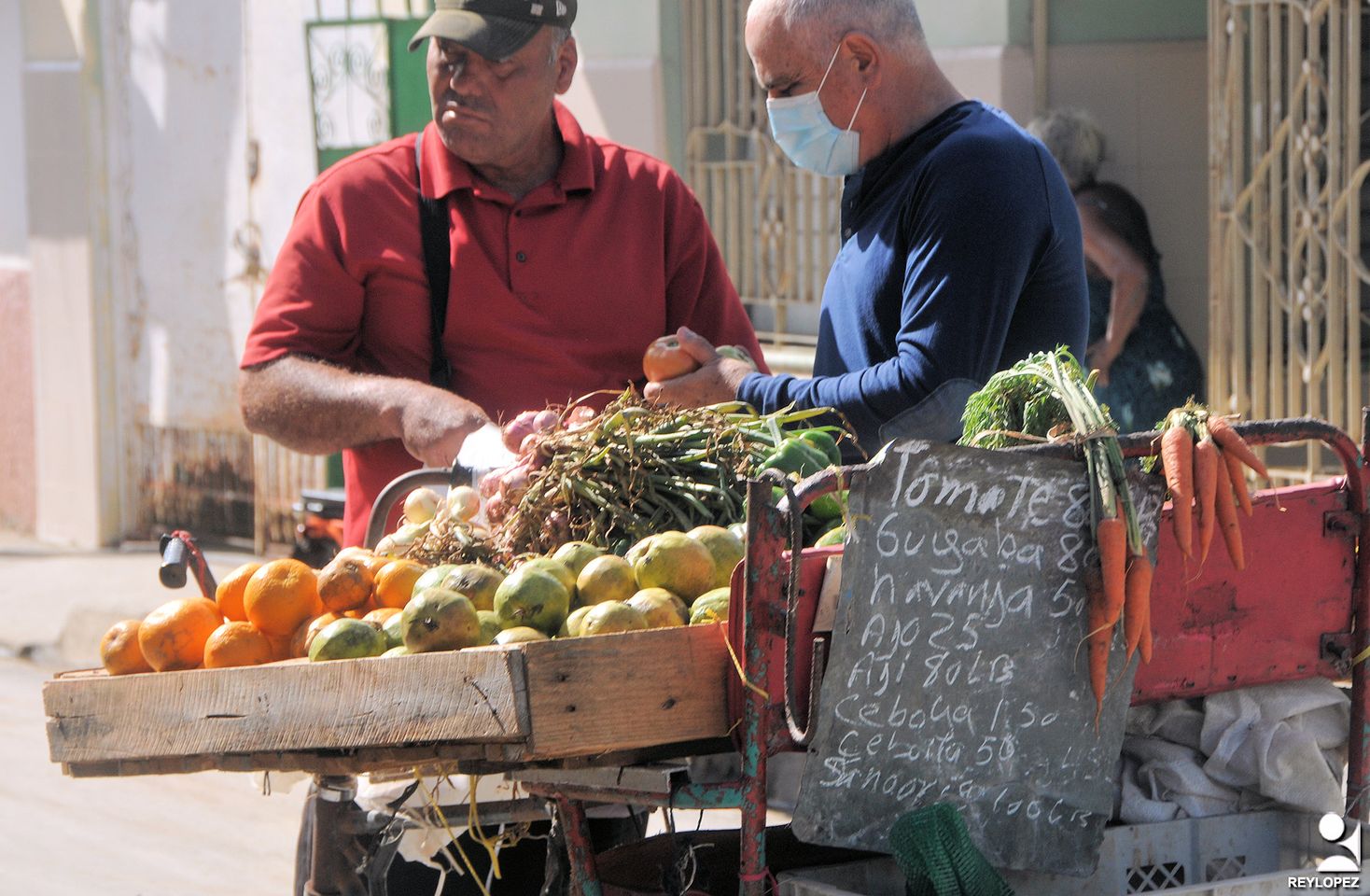 precios agricolas Las Tunas Rey