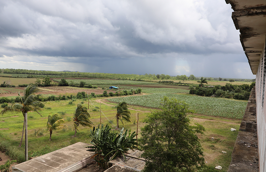 IPA students work in a 22-hectare area.