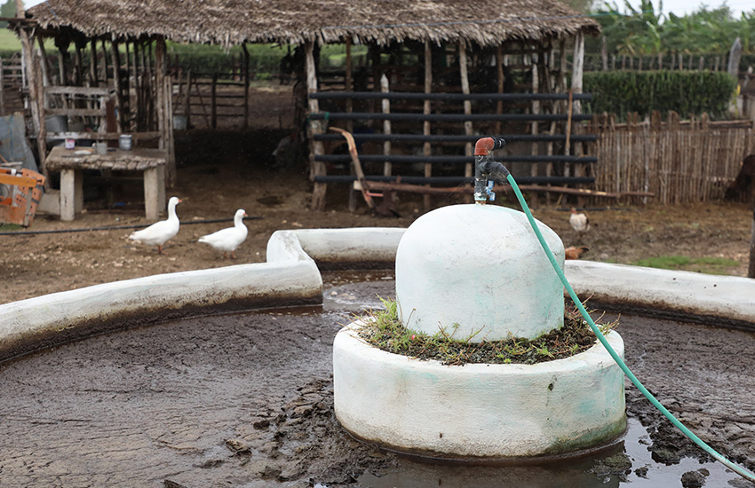 chaparra finca biogas