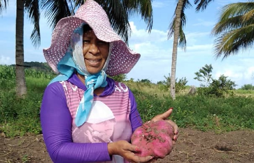 Campesina Maricela, de la cooperativa Sabino Pupo