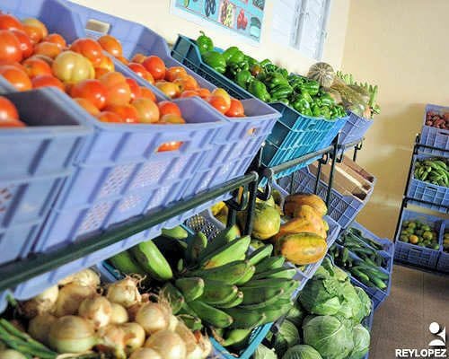 mercado agropecuario LasTunas