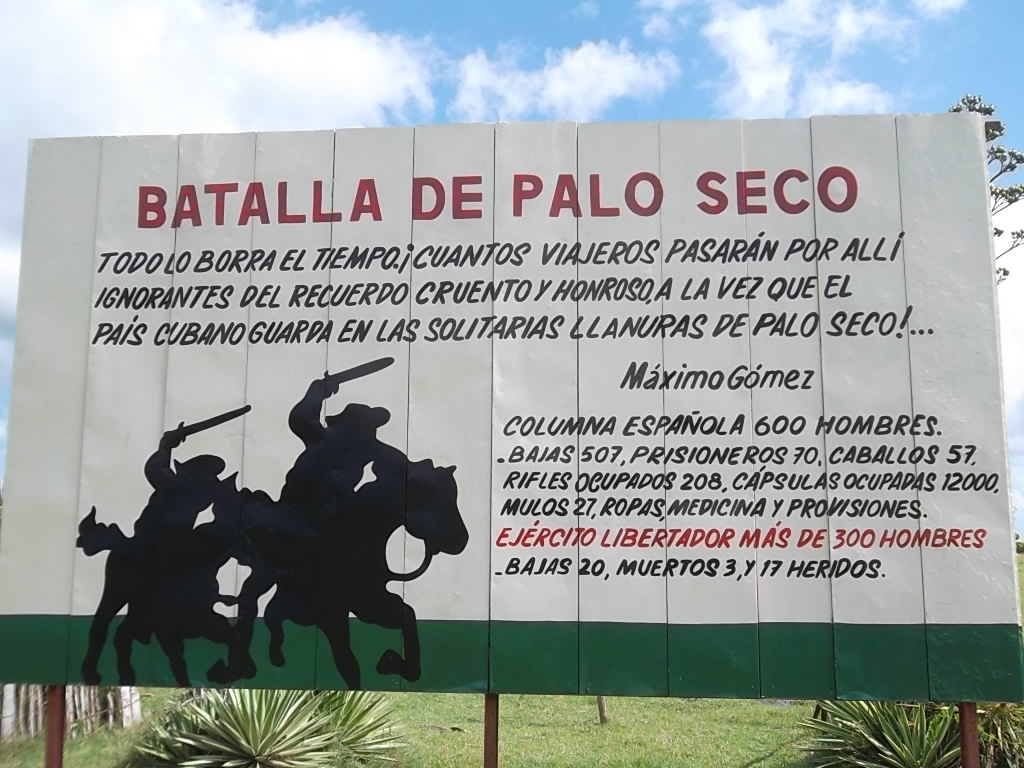 palo seco batalla