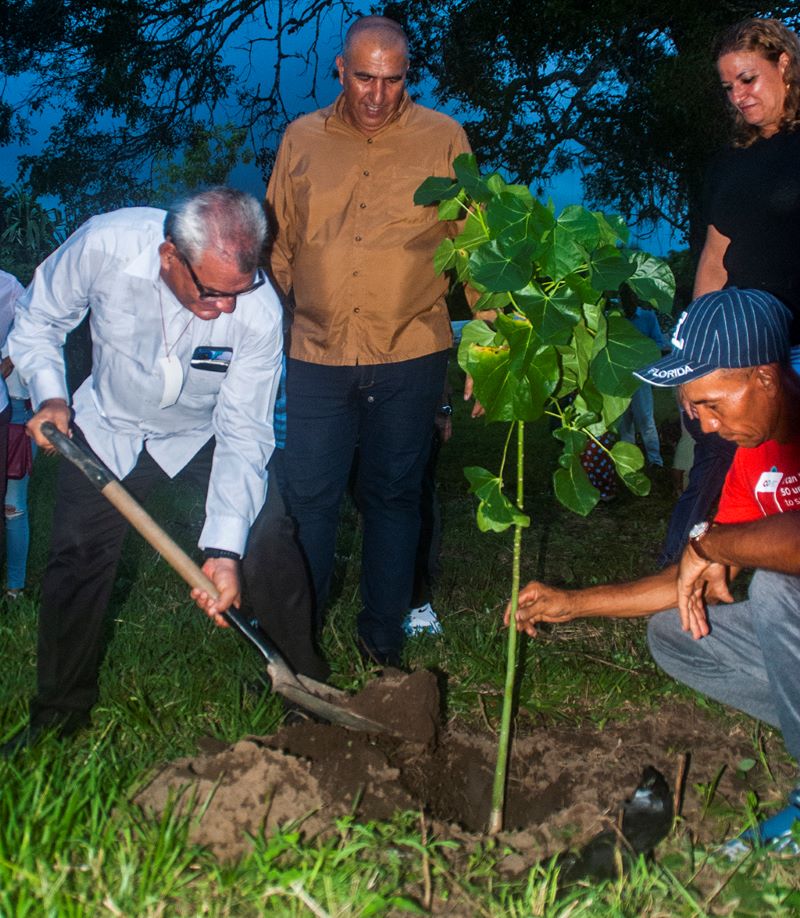siembre arbol congreso foto István