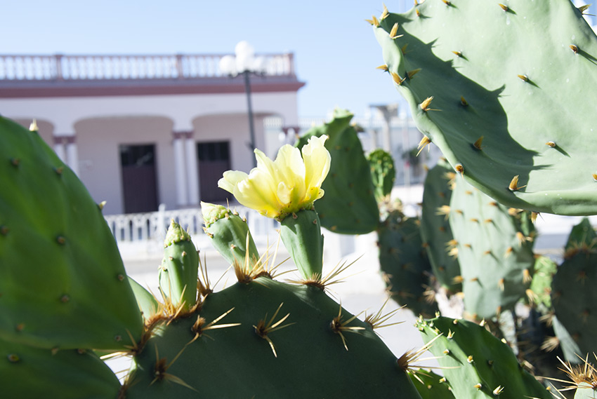 Aniversario 226 de Las Tunas