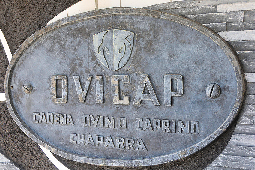 Nodo de desarrollo Chaparra foto Rey