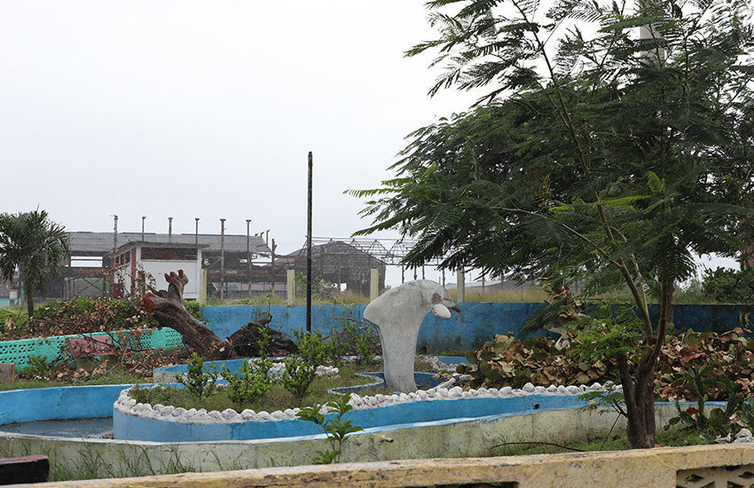 chaparra recuperacion